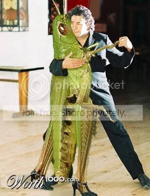 dwts.jpg