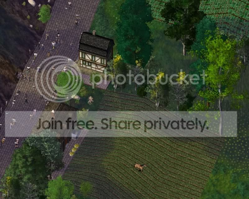 farm1.jpg