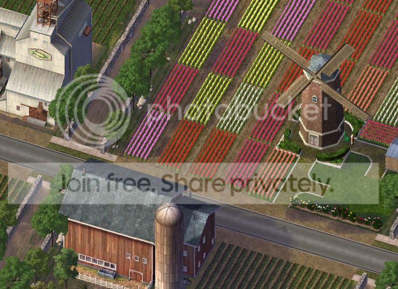 farming05.jpg