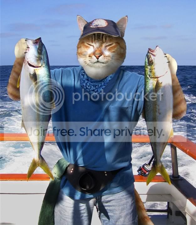 fishy.jpg