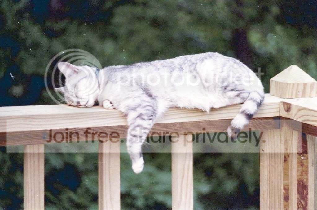 hj.jpg