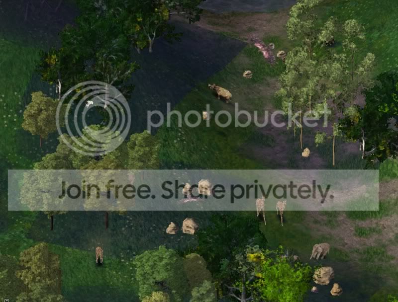 journey3.jpg