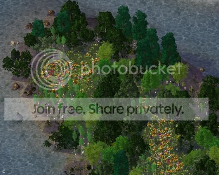 park11.jpg