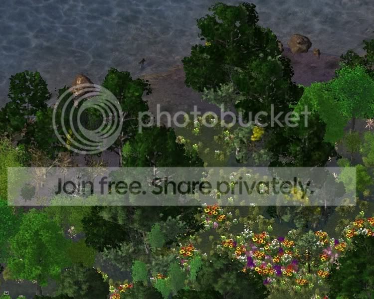 park12.jpg