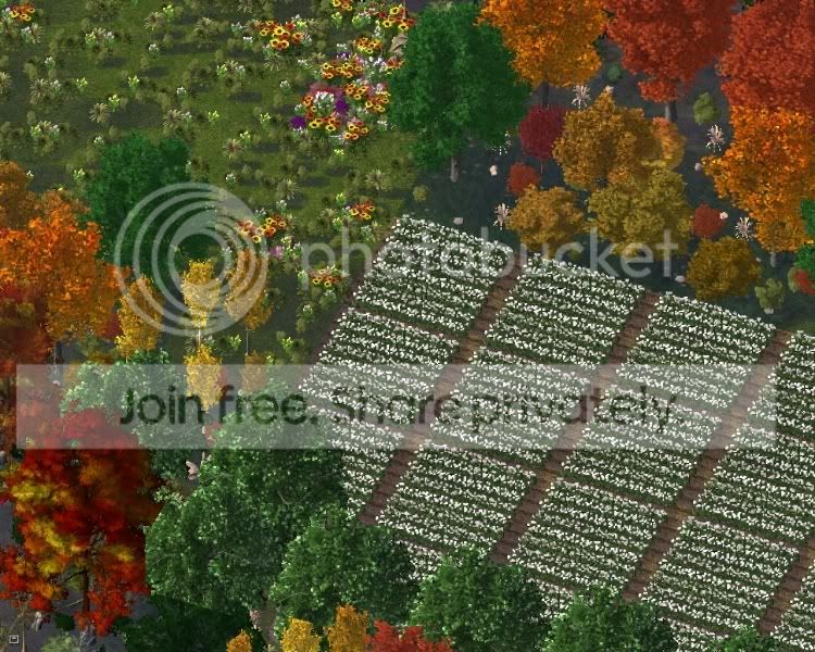 park17.jpg
