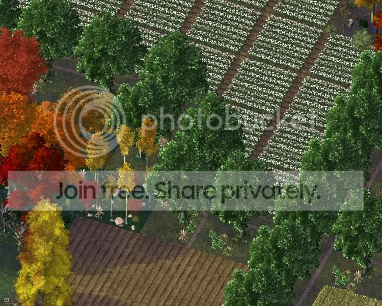 park19.jpg