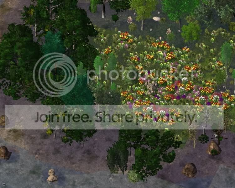 park2.jpg