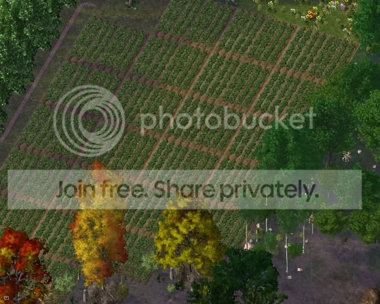 park21.jpg