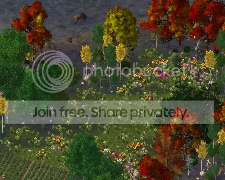 park22.jpg