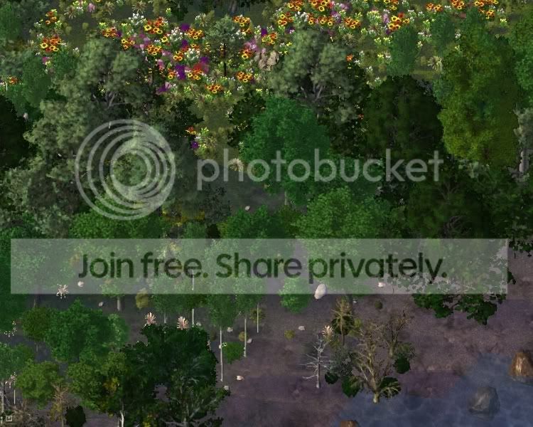 park4.jpg