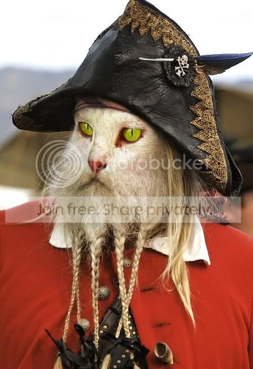 pirate.jpg