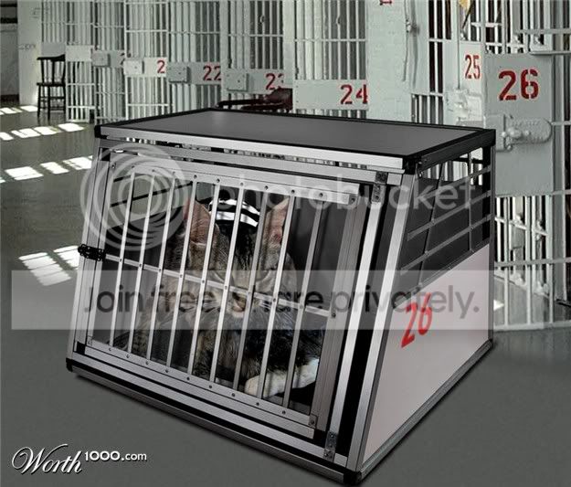 prison.jpg
