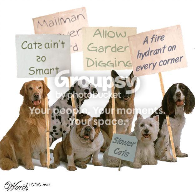 protest-against-cats.jpg