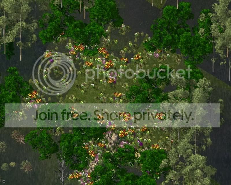 q2.jpg