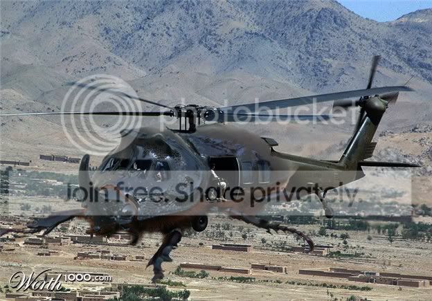 qf7.jpg