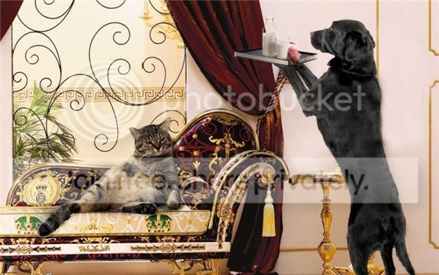 serving-katie.jpg