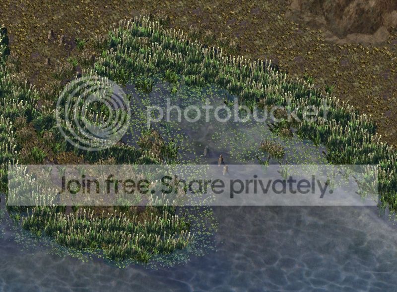 sw001.jpg
