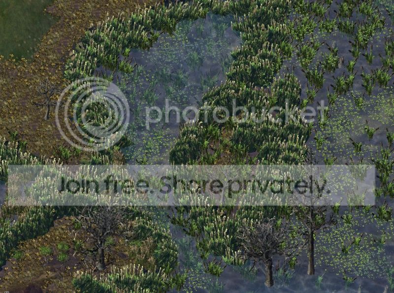 sw007.jpg