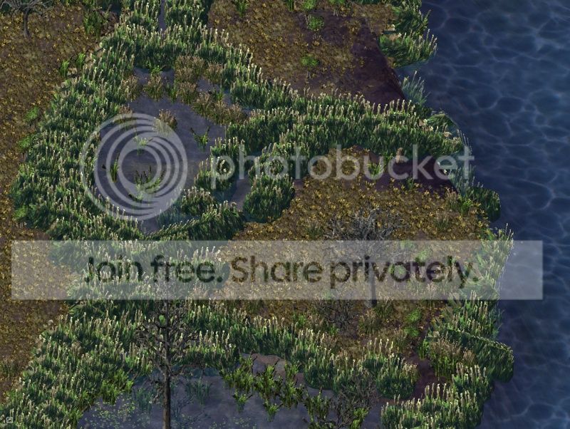 sw009.jpg