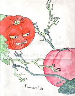 tomato_killer.jpg