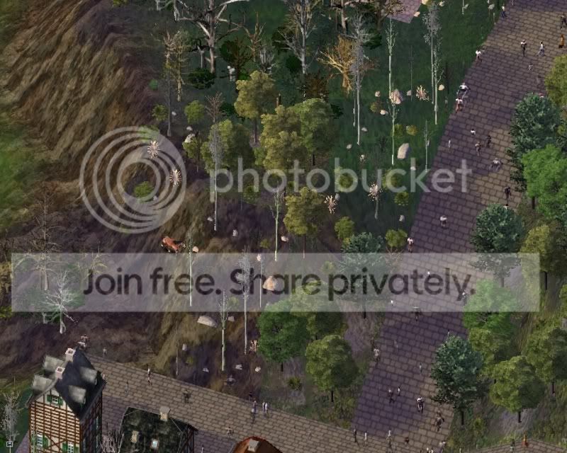 trees.jpg