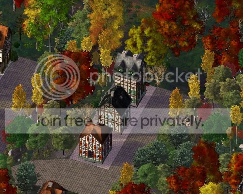 trees2.jpg