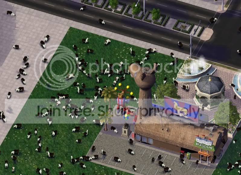 trx1.jpg