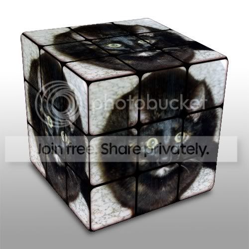 wirdlecube.jpg