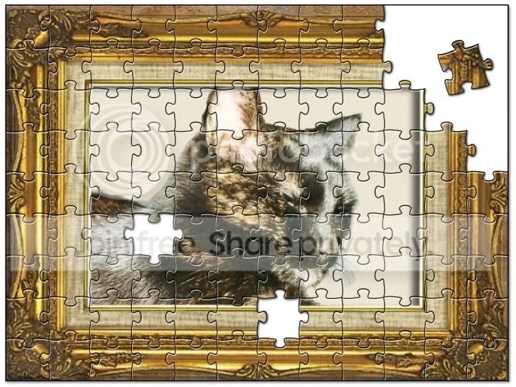 wirdlepuzzle.jpg