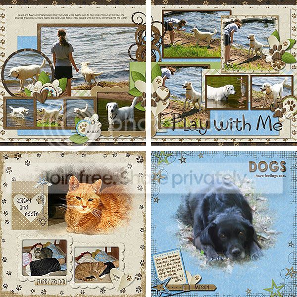 ADogsLife_2_zpscvod3dse.jpg~original