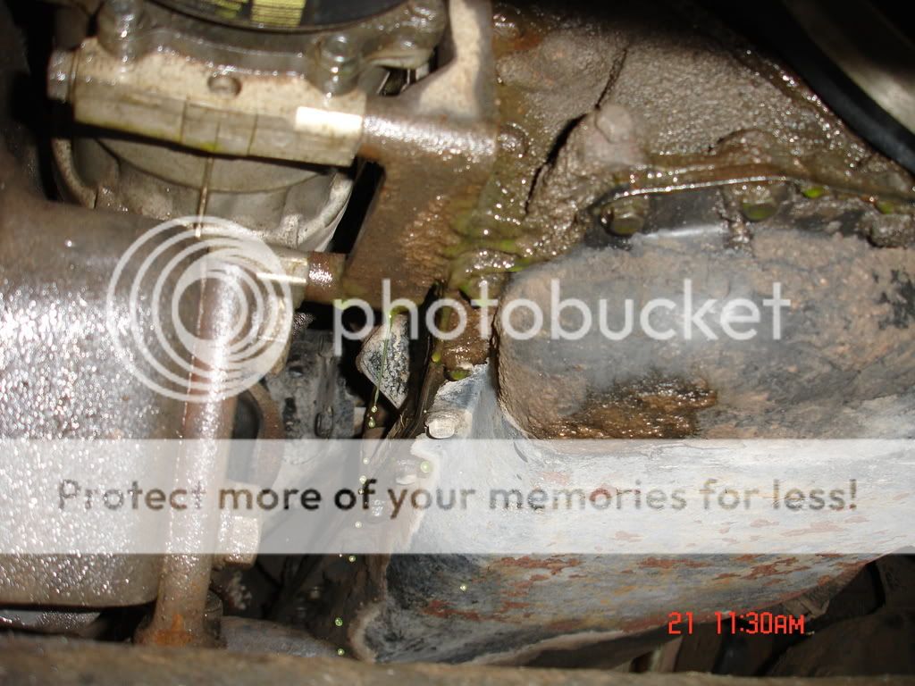 Car Leaking Coolant And Smoking / Major coolant leak from timing side