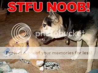 stfu noob !! Pictures, Images and Photos